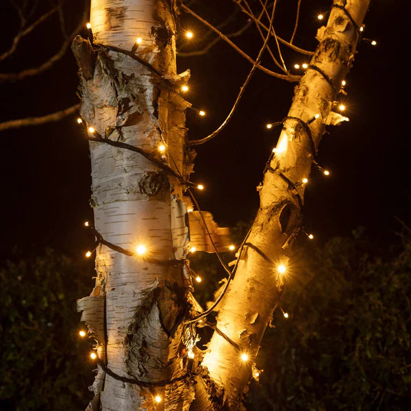 Outdoor Christmas Tree Lights