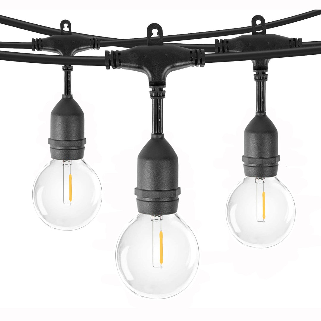 G40 7.6m 25 Bulbs | Festoon Lights | Drop Hang