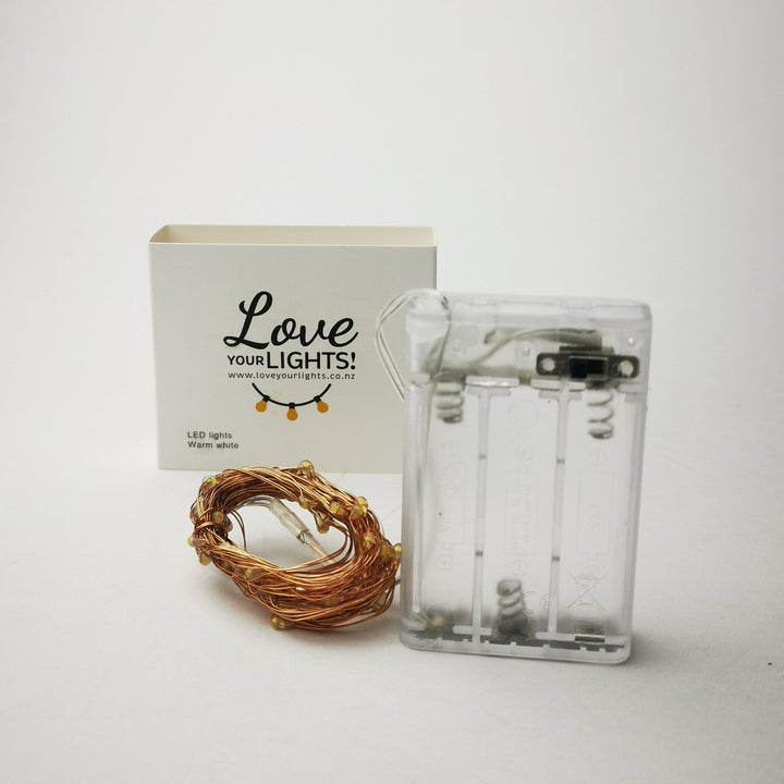 Battery Copper Seed Lights from Love Your Lights